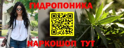 эйфоретик Лесосибирск