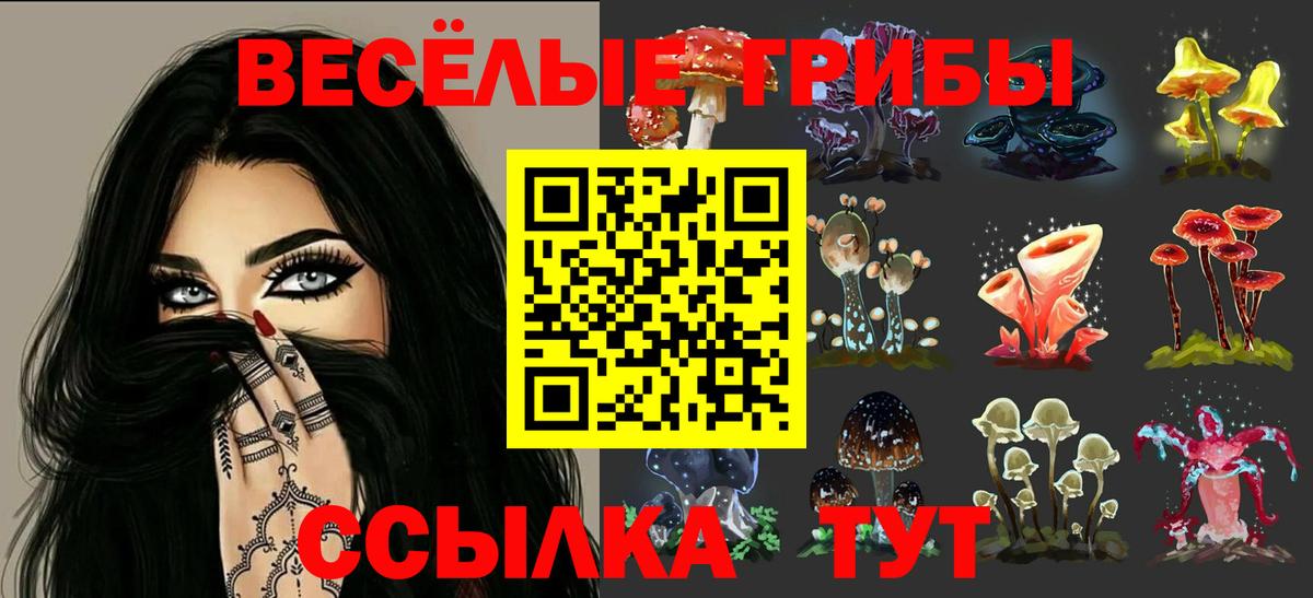 где купить наркотик  Галлюциногенные грибы ЛСД  Вход с VPN  Заринск 
