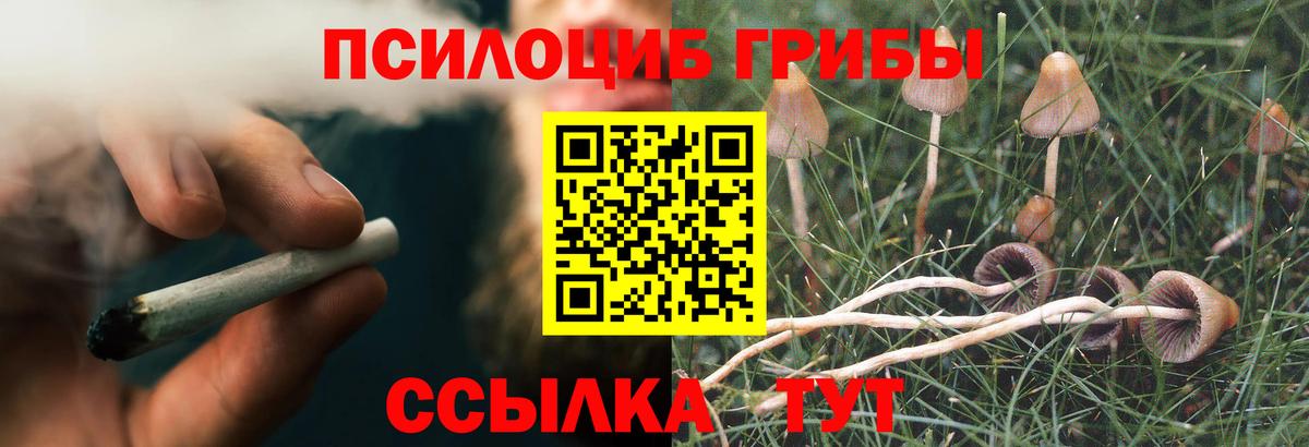 Галлюциногенные грибы Magic Shrooms Заринск