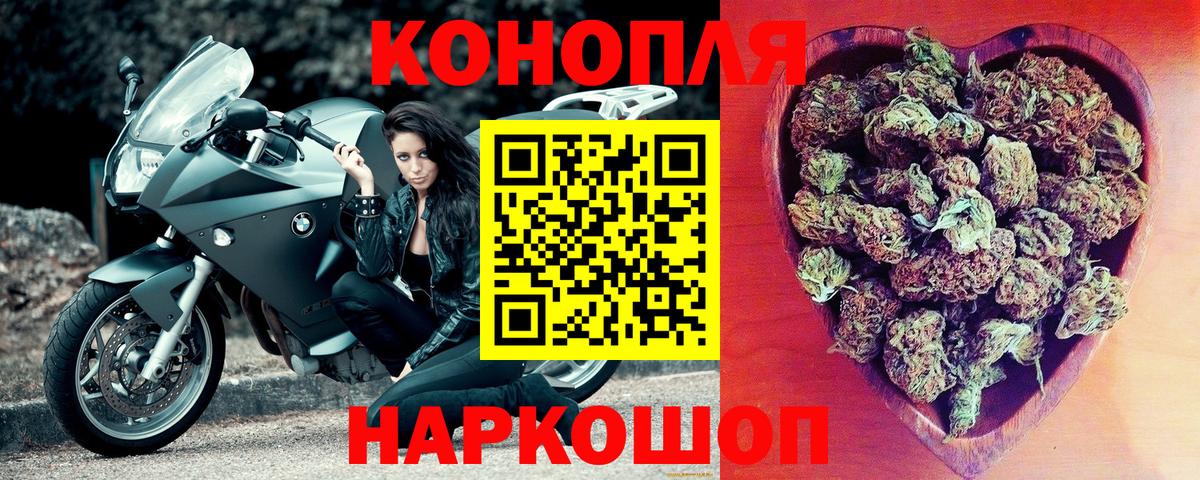 Каннабис сатива Заринск